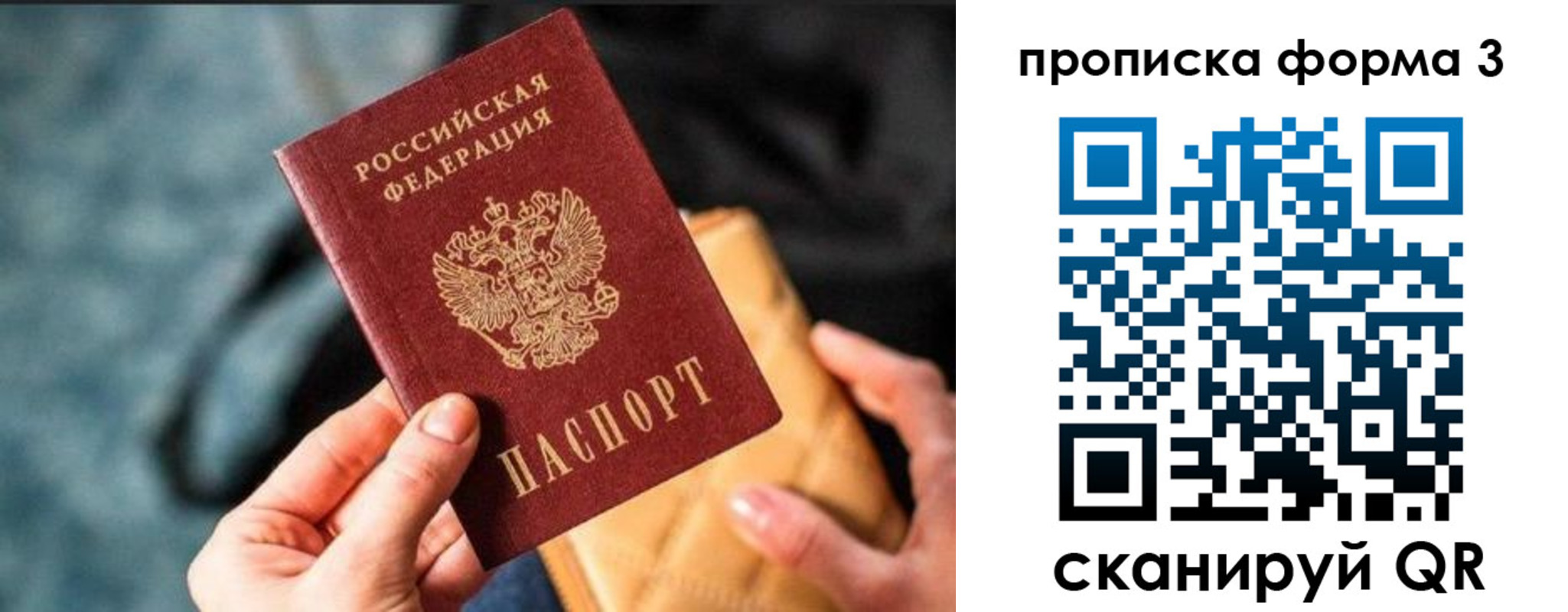 прописка гарантия в Нелидово